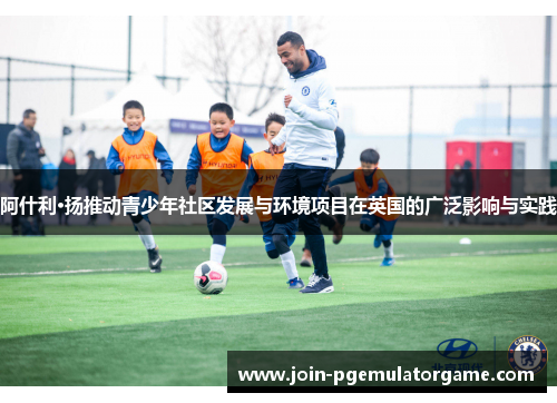 阿什利·扬推动青少年社区发展与环境项目在英国的广泛影响与实践