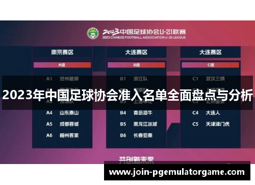 2023年中国足球协会准入名单全面盘点与分析