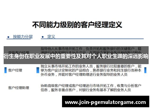 衍生身份在职业发展中的重要性及其对个人职业生涯的深远影响