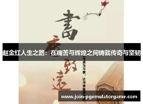 赵金红人生之路：在痛苦与辉煌之间铸就传奇与坚韧