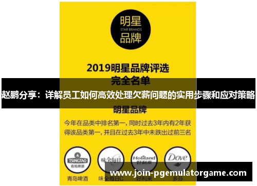 赵鹏分享：详解员工如何高效处理欠薪问题的实用步骤和应对策略