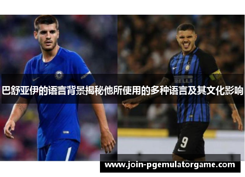 巴舒亚伊的语言背景揭秘他所使用的多种语言及其文化影响