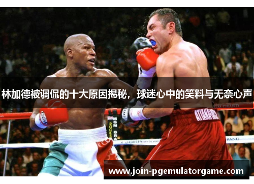 林加德被调侃的十大原因揭秘，球迷心中的笑料与无奈心声