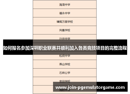 如何报名参加深圳职业联赛并顺利加入各类竞技项目的完整流程