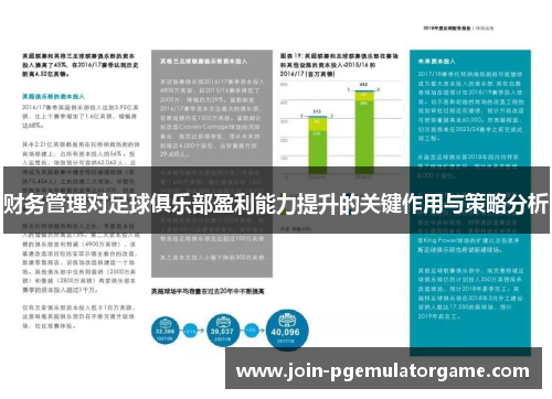 财务管理对足球俱乐部盈利能力提升的关键作用与策略分析